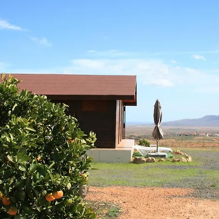 Fuerte Wooden Dream